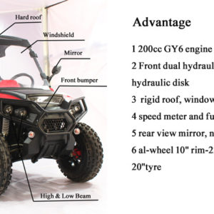 Fangpower Fx200 Tiger 200cc Chinese 2x4 Direct Factory 200cc Side By Side Utv