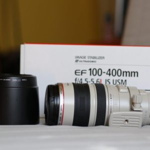Canon Ef 100-400mm F4.5-5.6l Is Usm Lens