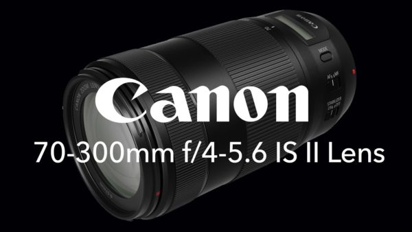 Canon Ef 70-300mm F/4-5.6 Is Usm Lens