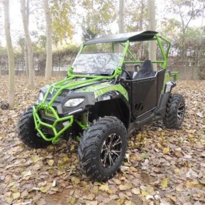 Fx250 Spider Utv