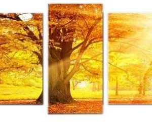 5 Pieces Set Wall Clock Picture Clock Wall Art Canvas Print – 5 Pieces Set Autumn Yellow Woods Wall Clock Picture Clock Wall Art Canvas Print