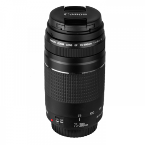 Canon Ef 75-300mm F/4-5.6 Iii Lens