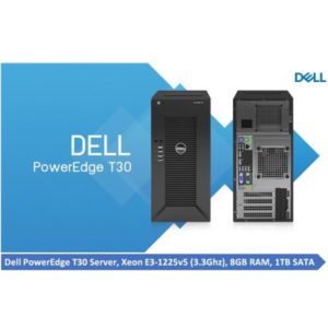 Dell Poweredge T30 Server System
