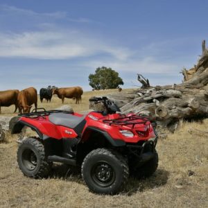 Suzuki Kingquad 400fsi