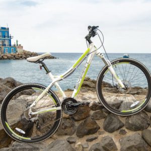 Smart Bikes Lady 200