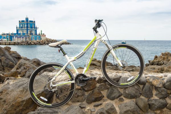 Smart Bikes Lady 200