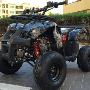 Adly Atv 125 Cc Quad Bike