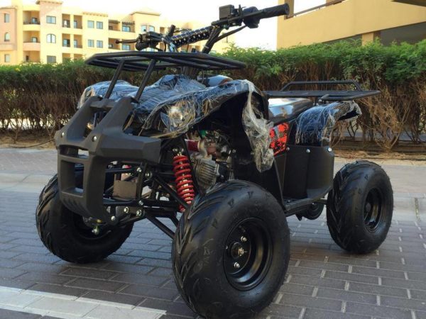 Adly Atv 125 Cc Quad Bike