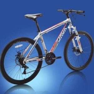 Java One-21s-d Mountain Bike