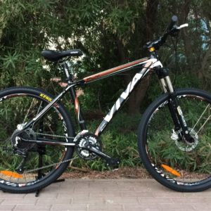 Viva Fly 400 Mountain Bike