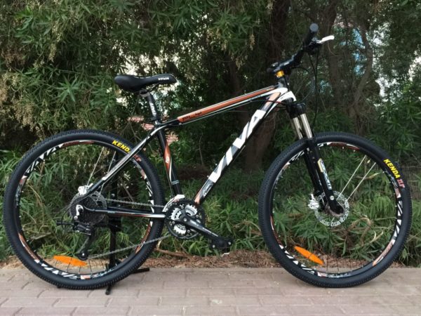 Viva Fly 400 Mountain Bike